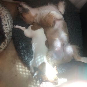 Meet your Posher, Sheryl